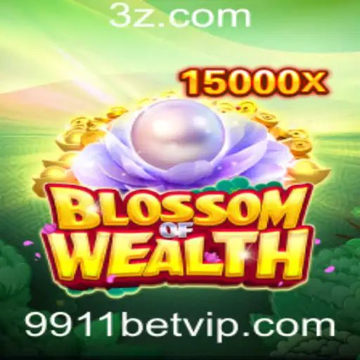 9911 bet Casino Withdrawal