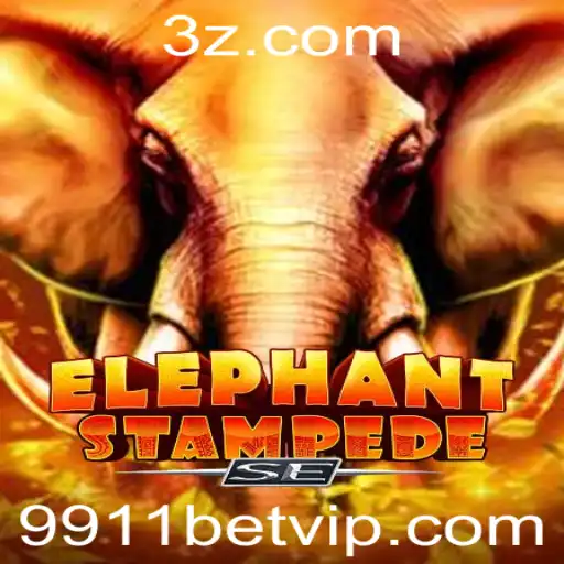 9911 bet Casino App