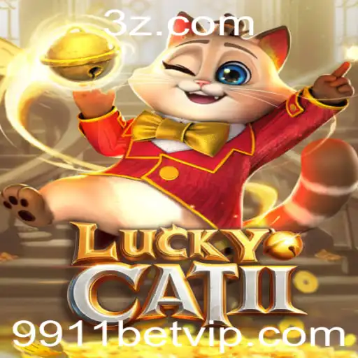 9911 bet Casino App