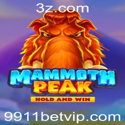 9911 bet Casino App