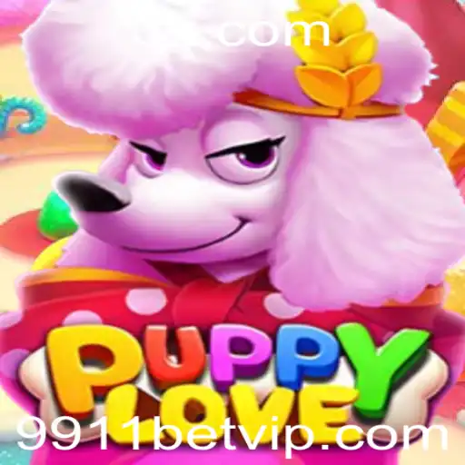 9911 bet Casino App